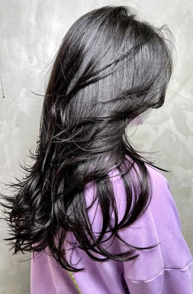 Layer