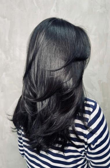 Layer