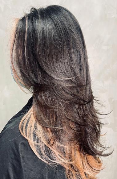 Layer