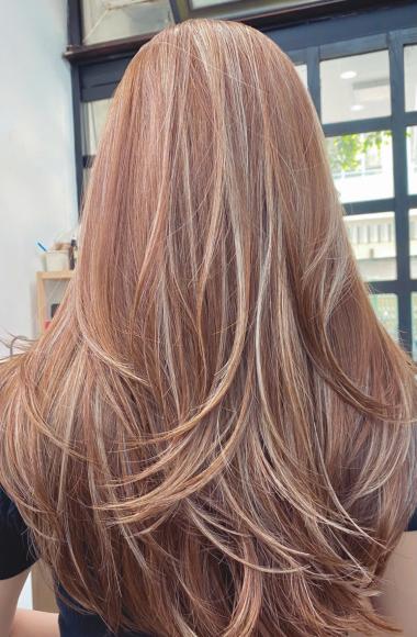 highlight